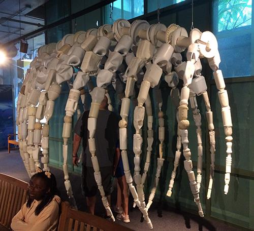 Whale Rib Cage 